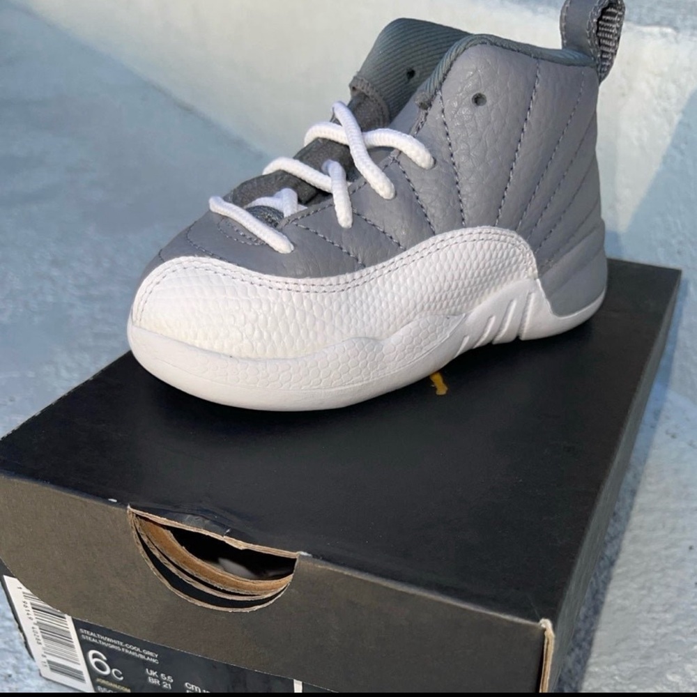 NWT Jordan 12s Toddler